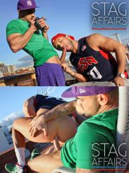 STAG AFFAIRS DVD