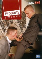 PROPERTY TWINKS DVD