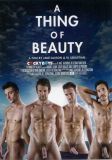 A THING OF BEAUTY DVD
