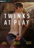 TWINKS AT PLAY DVD