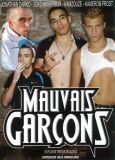 MAUVAIS GARCONS DVD