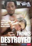 TWINKS DESTROYED DVD