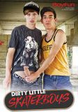 DIRTY LITTLE SKATERBOYS DVD   - BOY FUN !   vx81